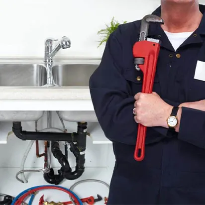 متخصصان باتجربه